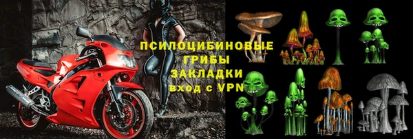 героин Алексин