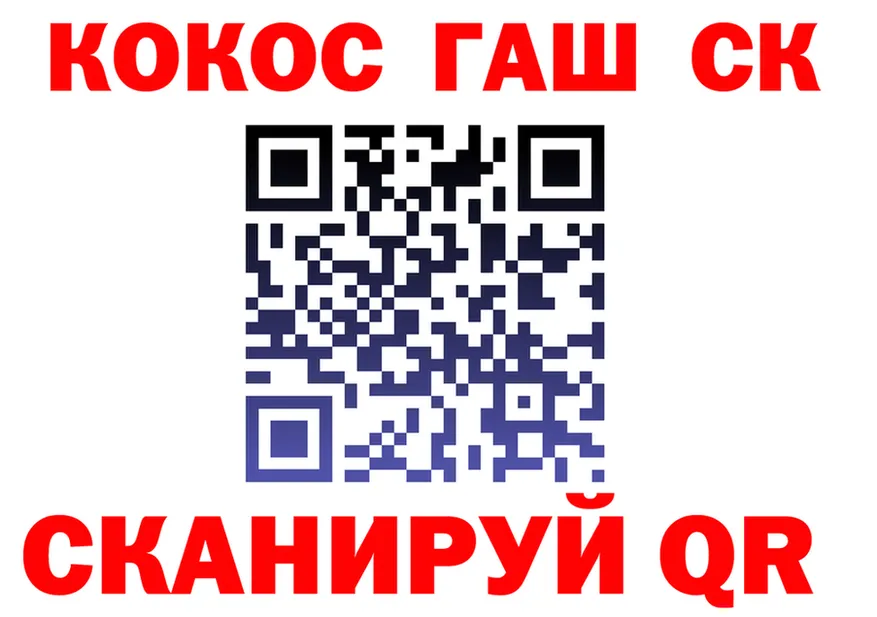 АМФ Premium зеркало площадка блэк спрут Сортавала